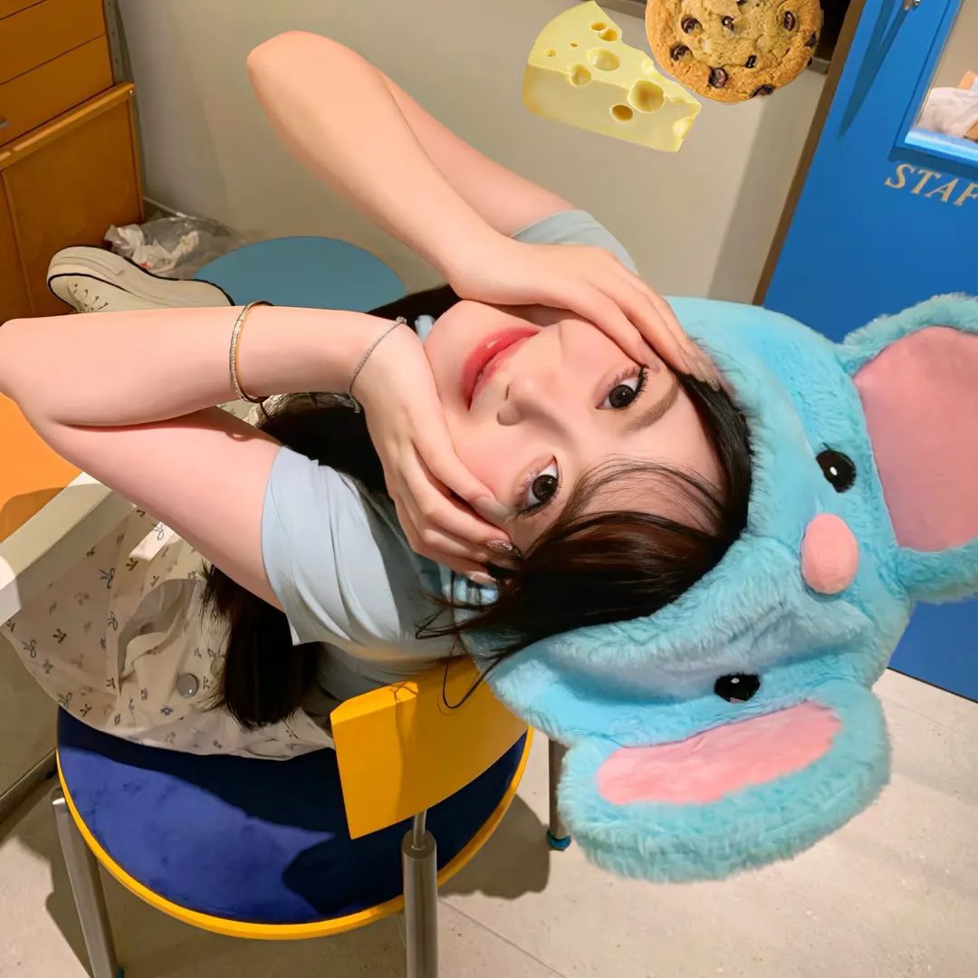 翱翔于天际的夜鹰